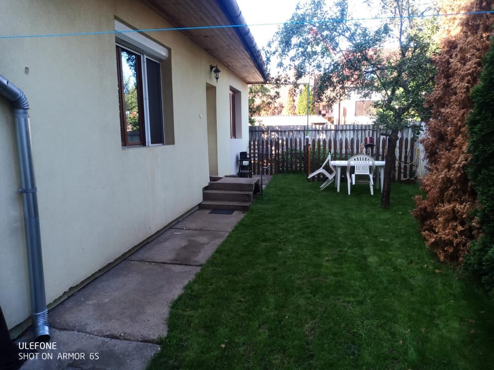 Patio, Garden, Garden view