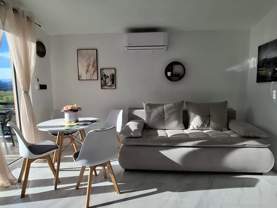 Living room, Seating area, air conditioner
