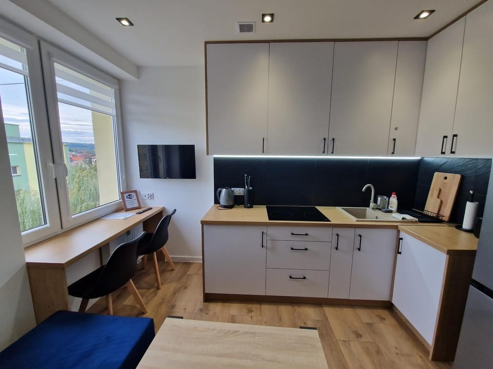 Kitchen or kitchenette, kitchen