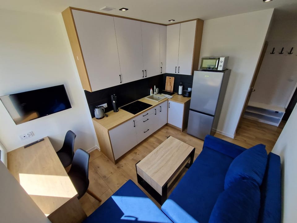 TV and multimedia, Kitchen or kitchenette, Living room, Seating area, Dining area, minibar, pet friendly, stove