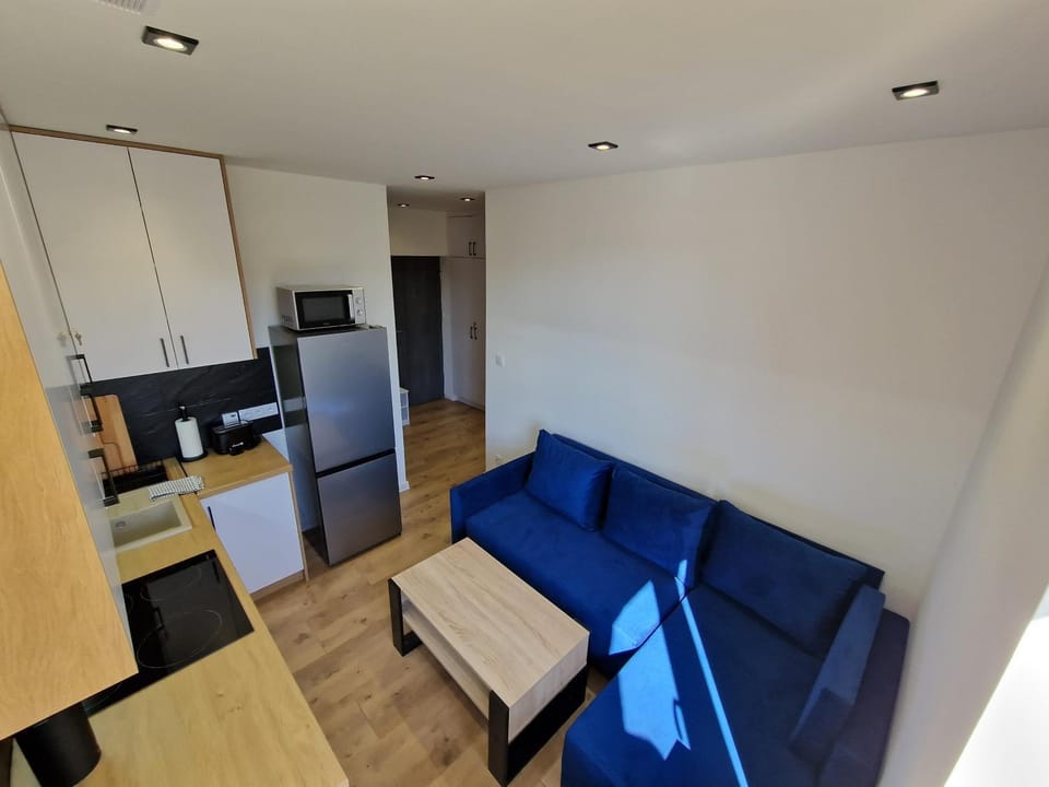Kitchen or kitchenette, Seating area, Dining area, minibar, pet friendly, stove