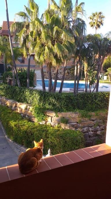 Planta baja cerca de la playa Casares Costa Apartment in Costa del Sol