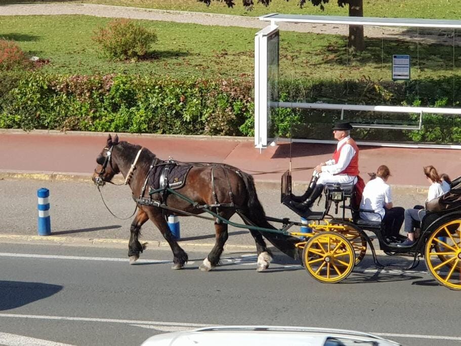 Les Embruns - Les plages - appartement 3eme étage Apartment in Deauville
