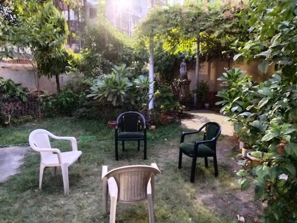 Garden, Garden, Garden view