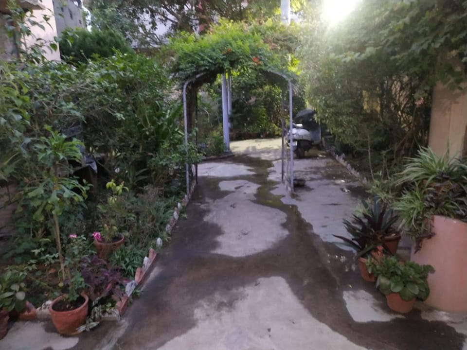 Garden, Garden