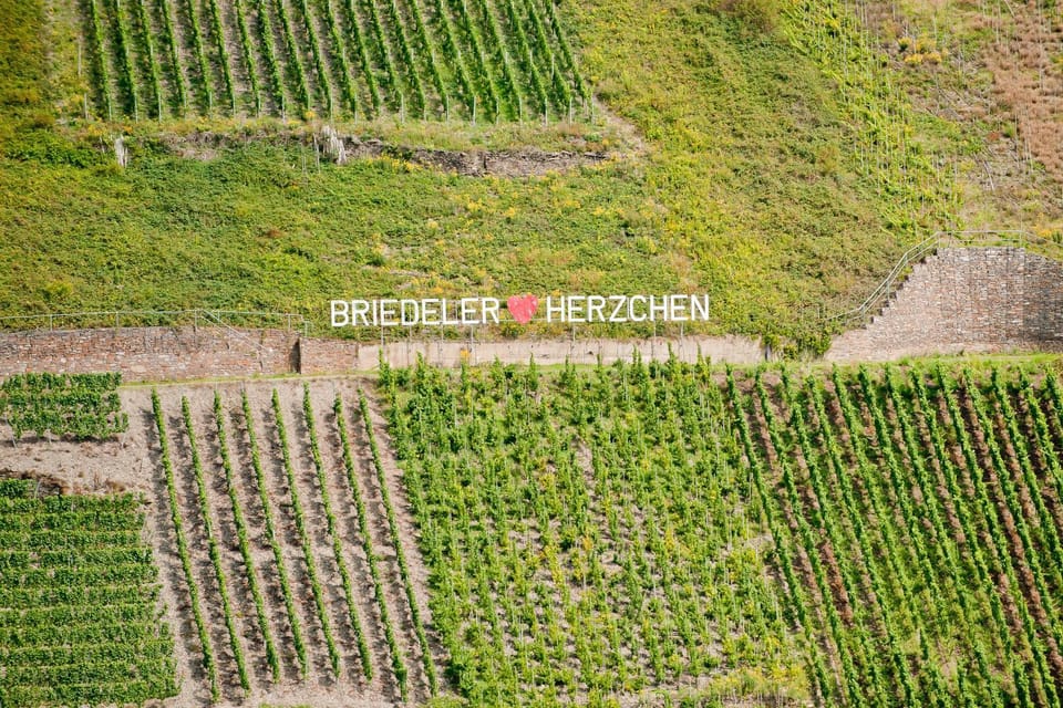 Wein- und Sektgut Markus Hensler Bed and Breakfast in Cochem-Zell