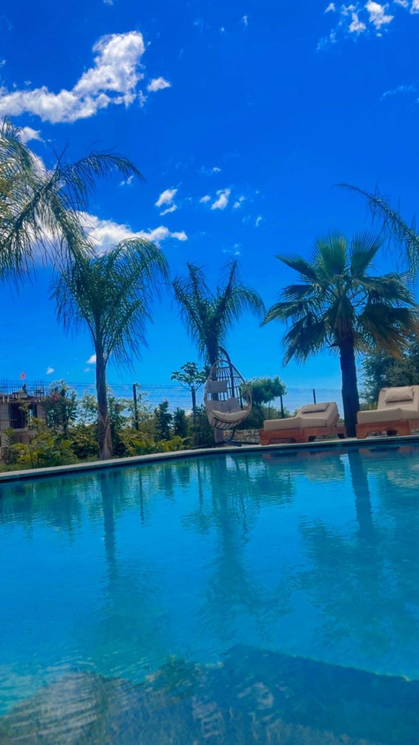 Garden, Garden view, Pool view, Swimming pool