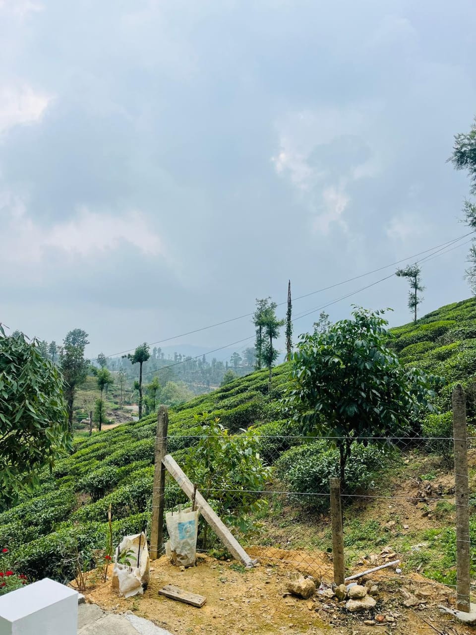 Horizon Vista Hotel in Kerala