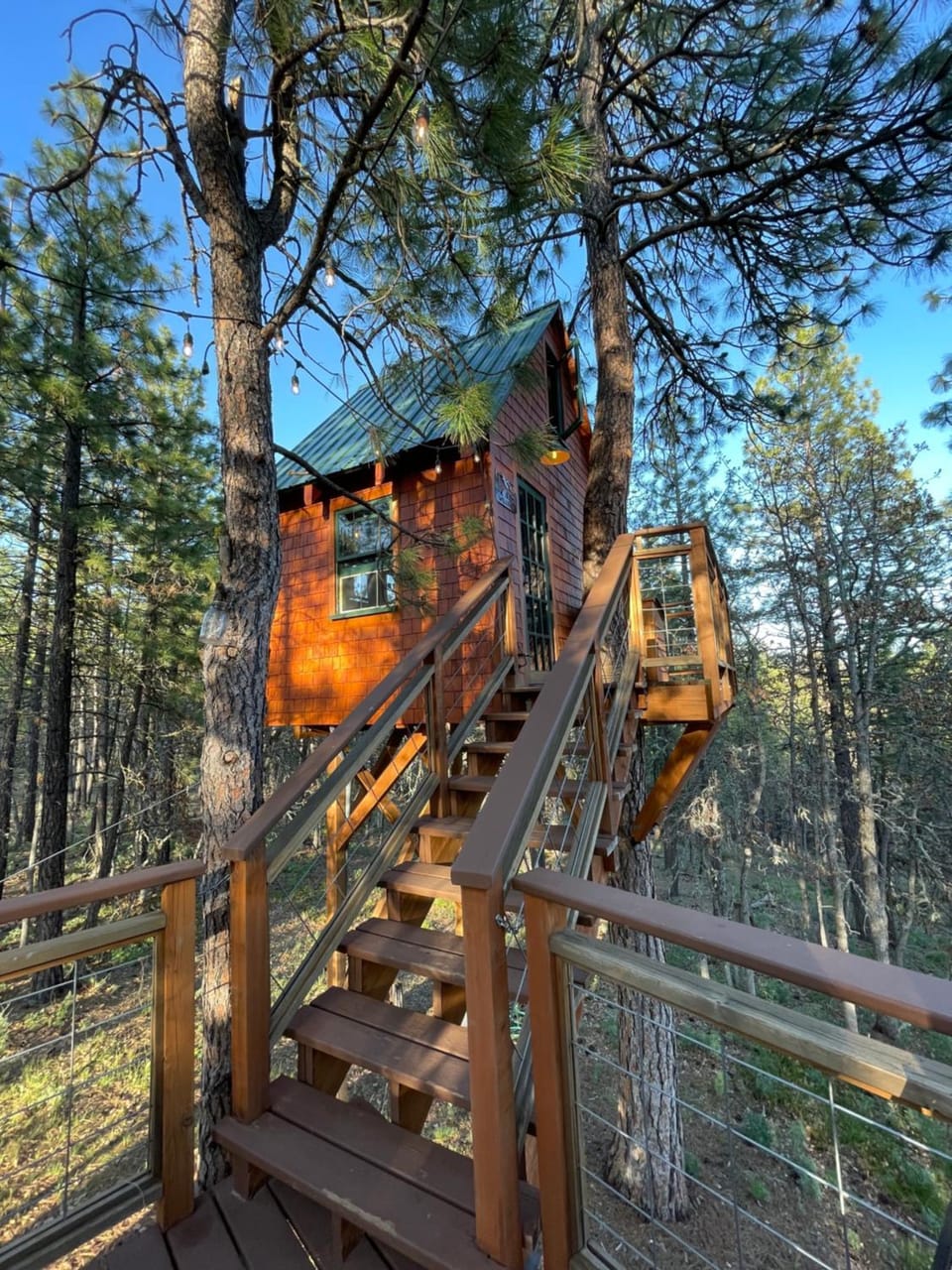 Treehouse Ranch Campground/ 
RV Resort in Washington