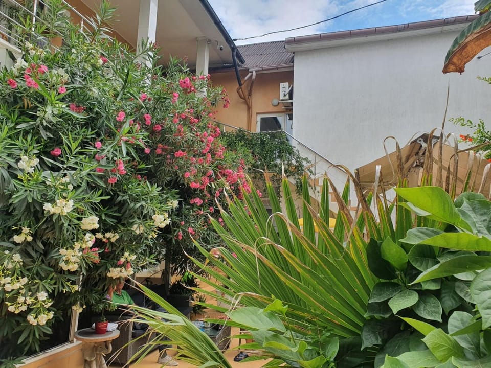 Casa Day&Amy Bed and Breakfast in Constanța County