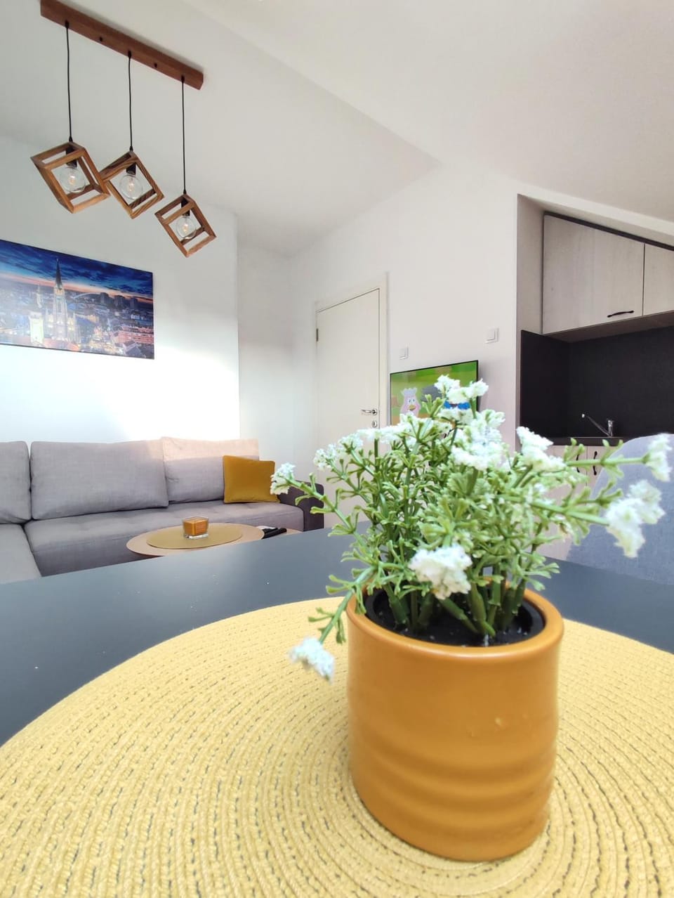 Apartman NS Dan PRIVATE PARKING Apartment in Novi Sad