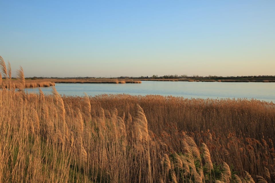 Natural landscape, Fishing, Lake view