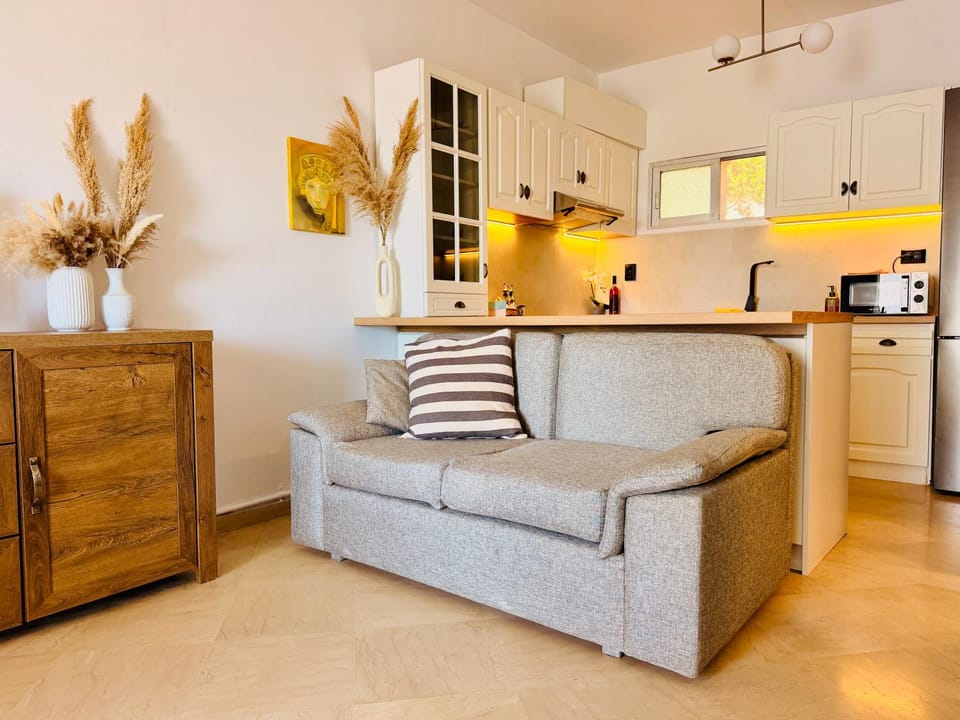 Living room, kitchen