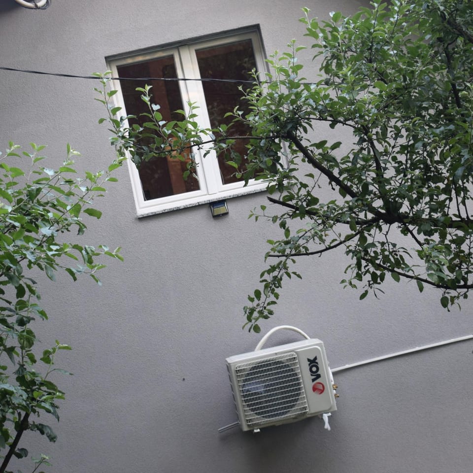Day, Garden, Garden view