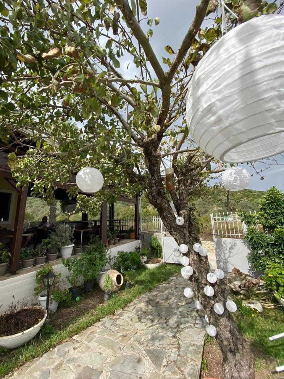 Property building, Patio, Garden