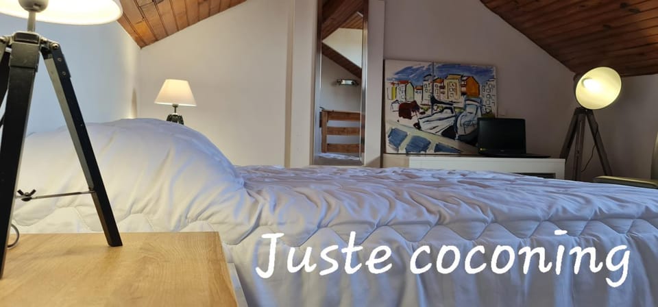 Le Cocon de la République T3 Mezzanine Belle vue plein Sud sans vis à vis dans une petite Résidence très calme Agde Centre Apartment in Agde