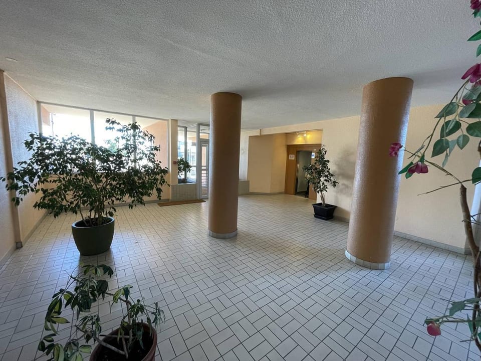 Charmant studio climatisé avec parking sécurisé à St Cyprien Plage - FR-1-106-97 Apartment in Saint-Cyprien