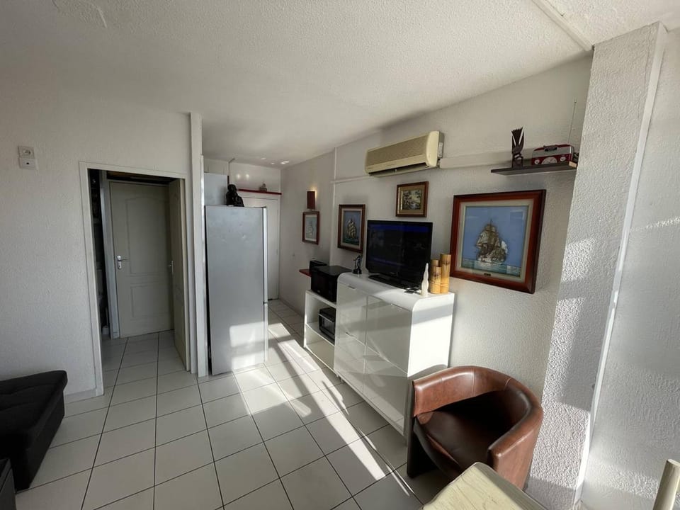 Charmant studio climatisé avec parking sécurisé à St Cyprien Plage - FR-1-106-97 Apartment in Saint-Cyprien