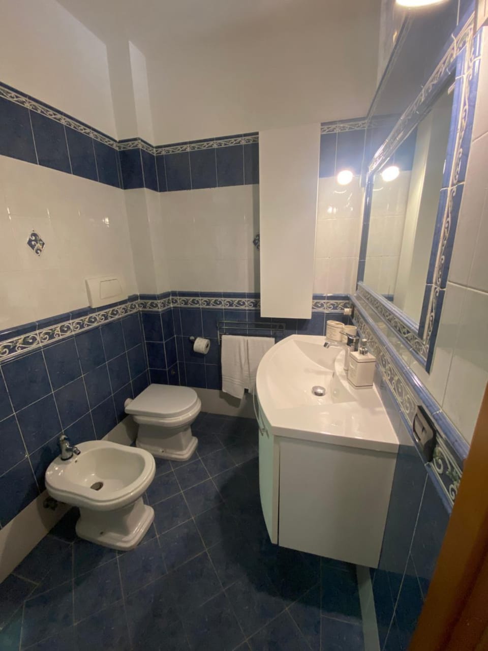 Shower, Toilet, Bathroom, bidet