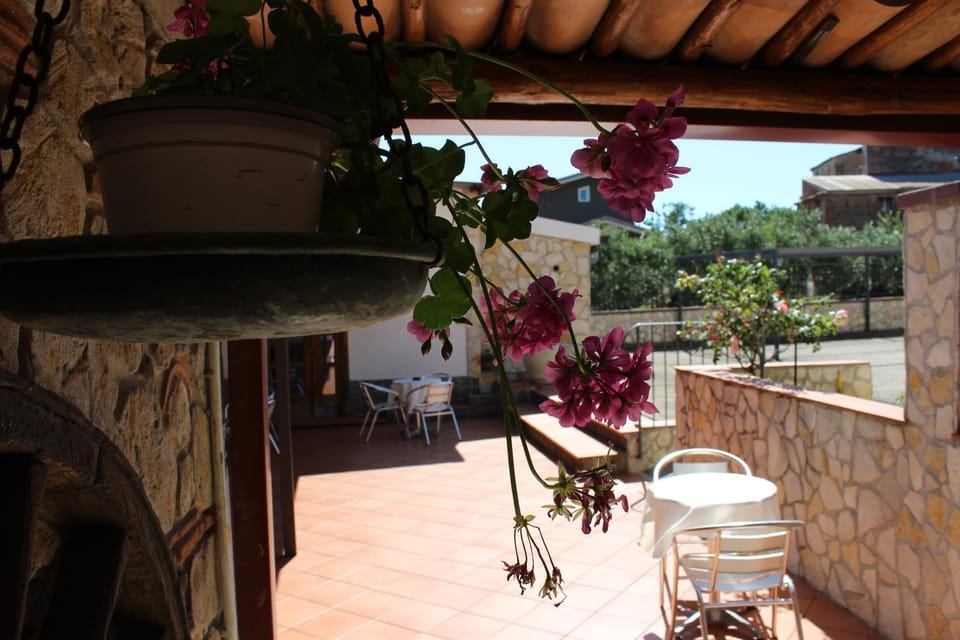 Patio, Decorative detail, Landmark view, Inner courtyard view