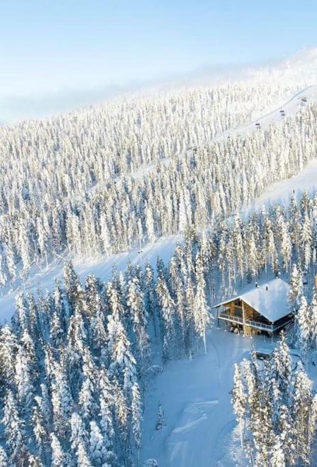 Levi Ski IN Ski OUT Premium VillaWestWind B House in Lapland