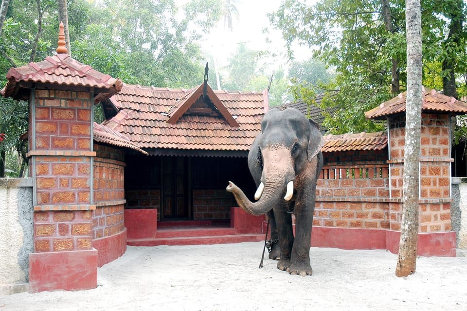 Elephant Courtyard- A Heritage Homestay Vacation rental in Kerala