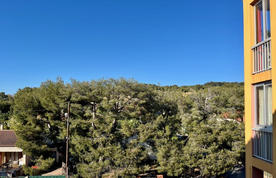 View (from property/room)