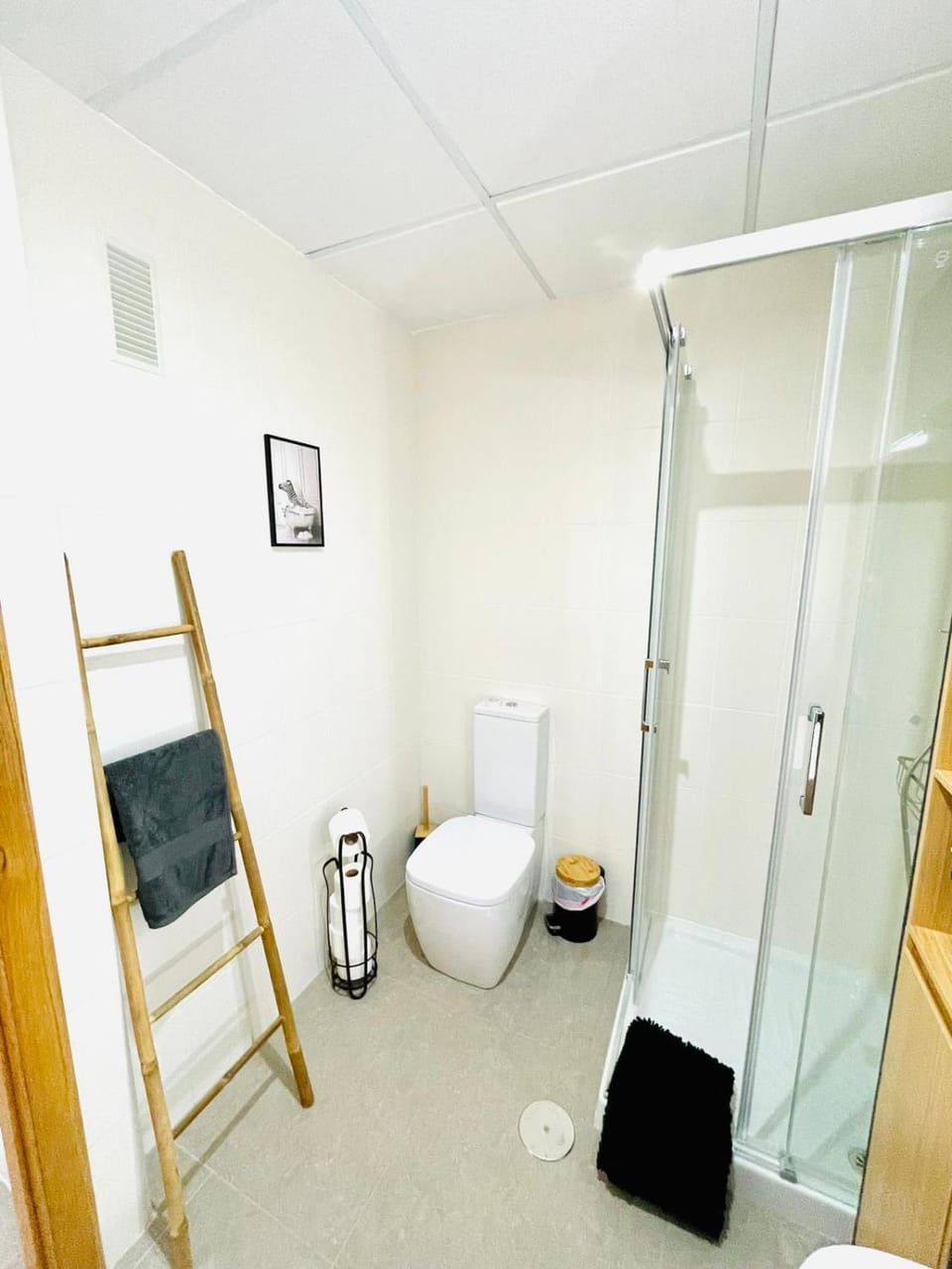 Shower, Toilet, Bathroom