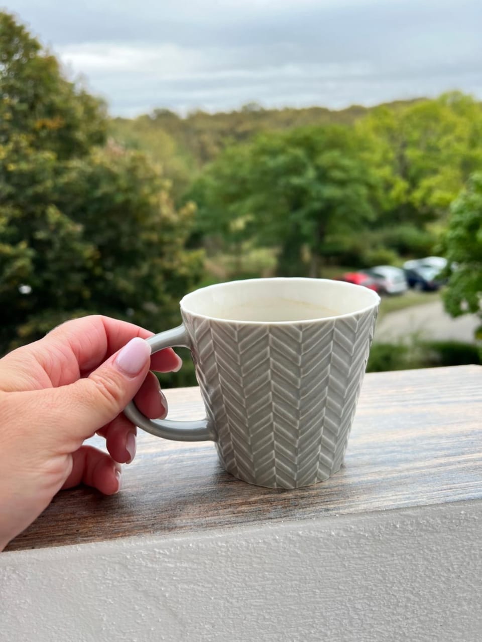 Day, Natural landscape, Coffee/tea facilities, View (from property/room), Balcony/Terrace