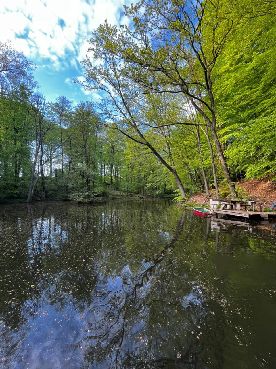 Natural landscape