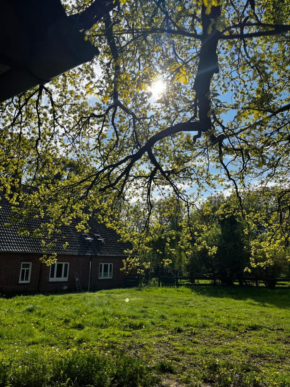 Garden, Garden view