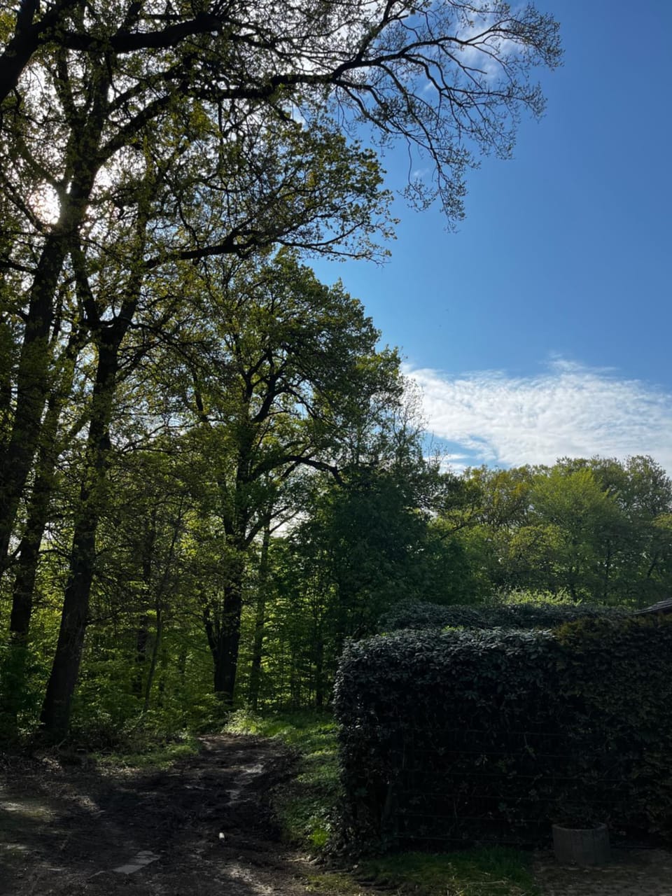 Natural landscape, Hiking, Hiking
