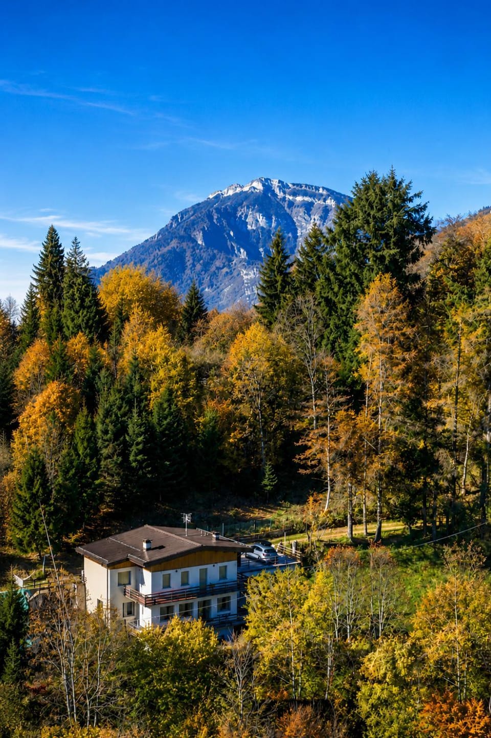 La Casa di Anna nel Parco delle Dolomiti Croce d' Aune 1000 ml slm Apartment in Veneto