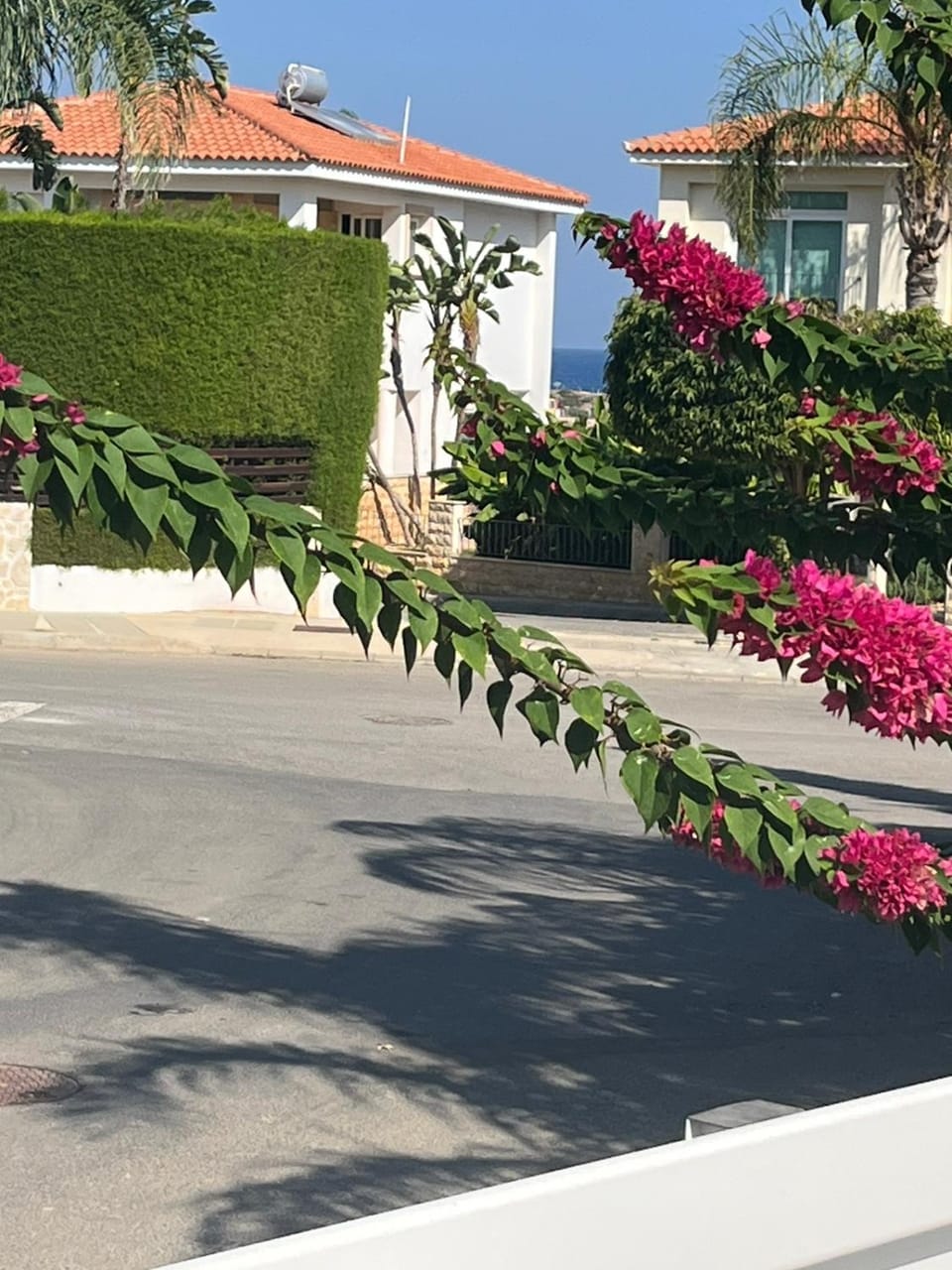 Zoe's villa by Turtle Bay Villa in Protaras
