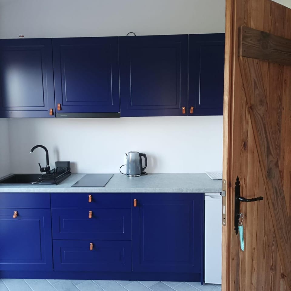 Coffee/tea facilities, Kitchen or kitchenette, stove