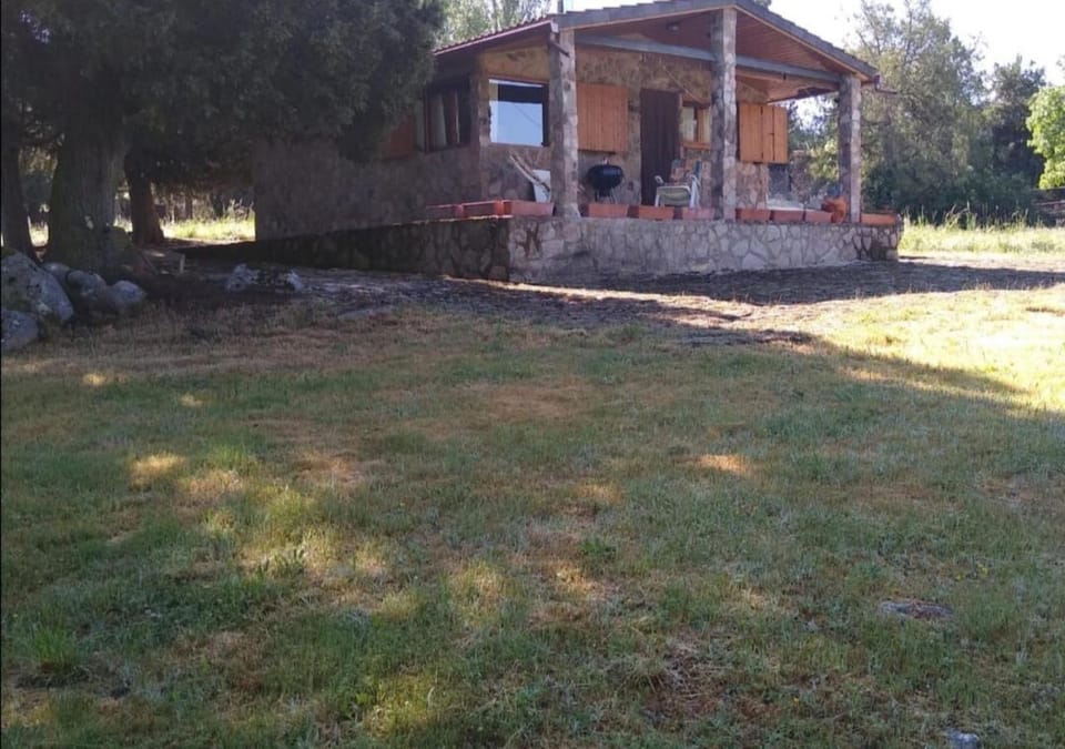 Property building, Natural landscape, Garden, Garden view