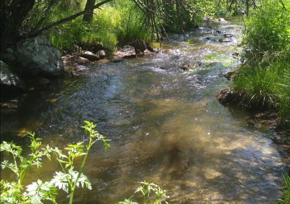 River view