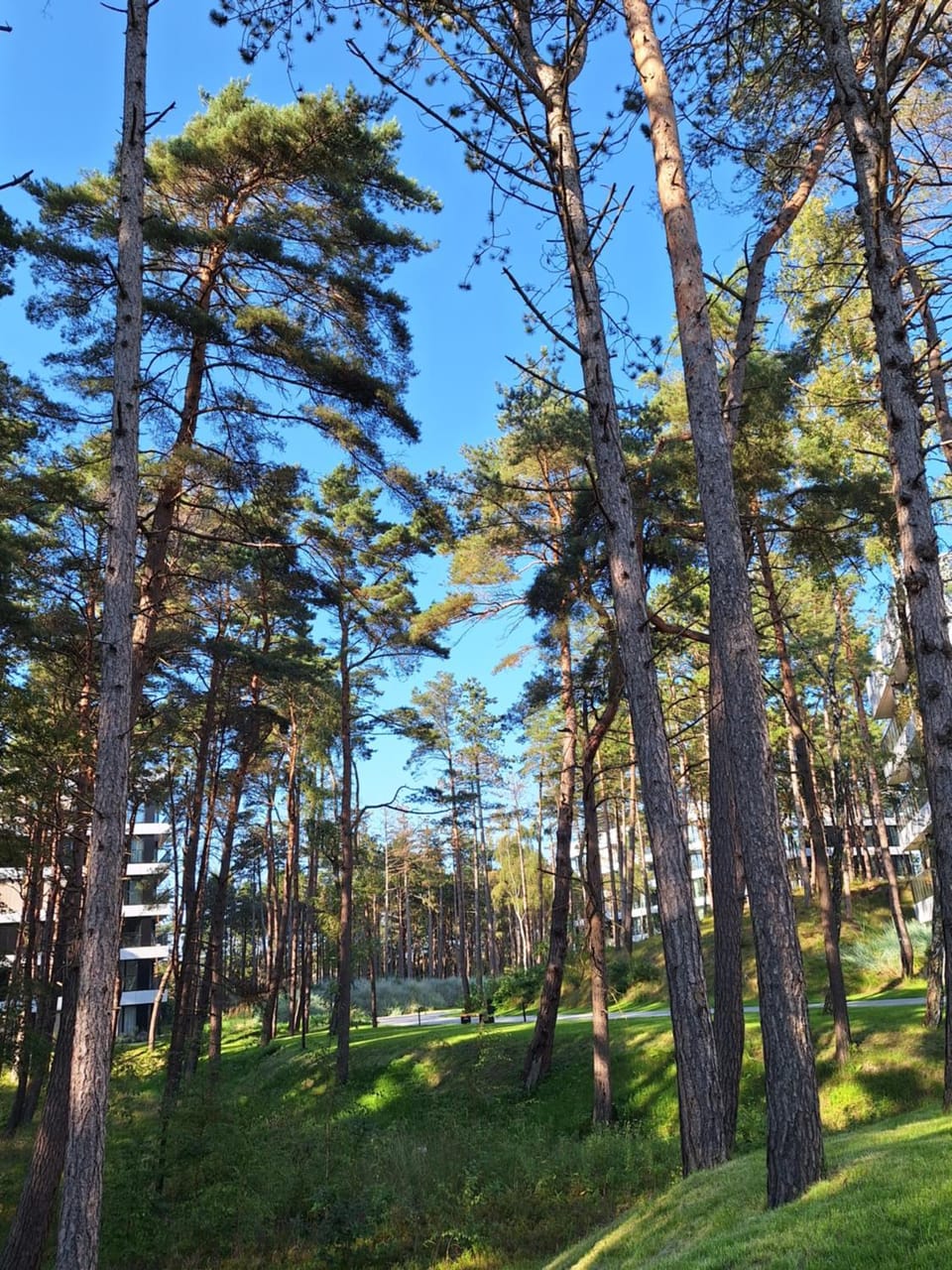 Apartament Shellter Sun&Sea Rogowo koło Kołobrzegu_Dźwirzyno_nocleg Apartment in West Pomeranian Voivodeship, Poland