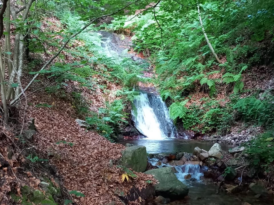 Open Air Bath