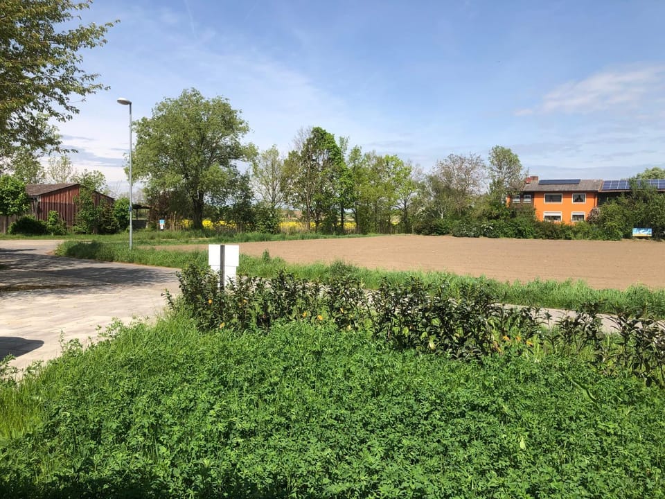 Reiterhof Kronwitter Apartment in Hesse