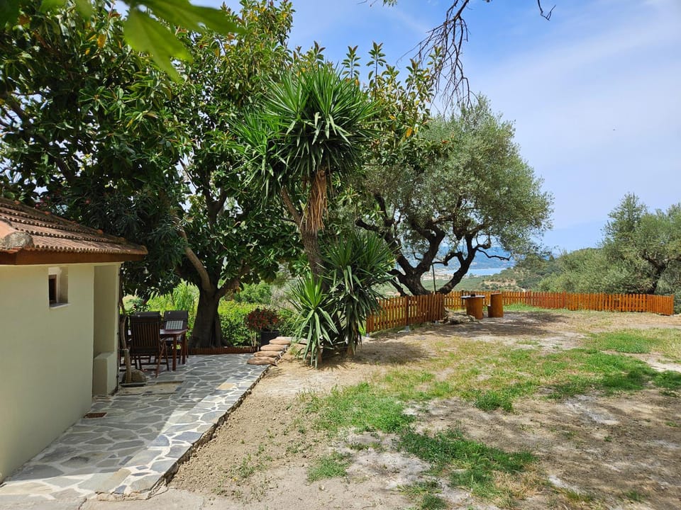 Day, Natural landscape, Garden, Garden view