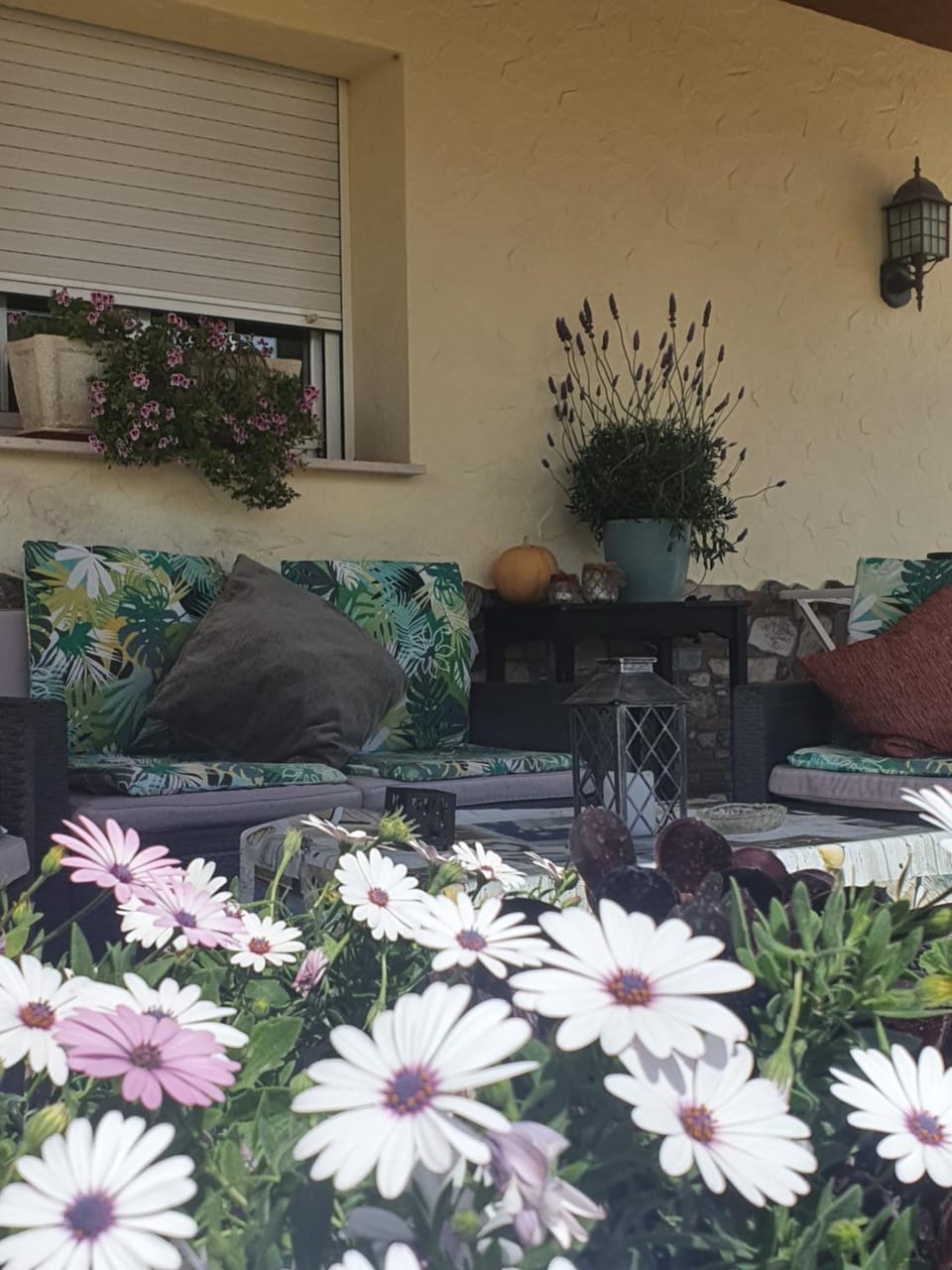 Garden, Garden view