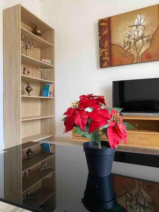 Прекрасная квартира на берегу Средиземного моря Apartment in Haifa