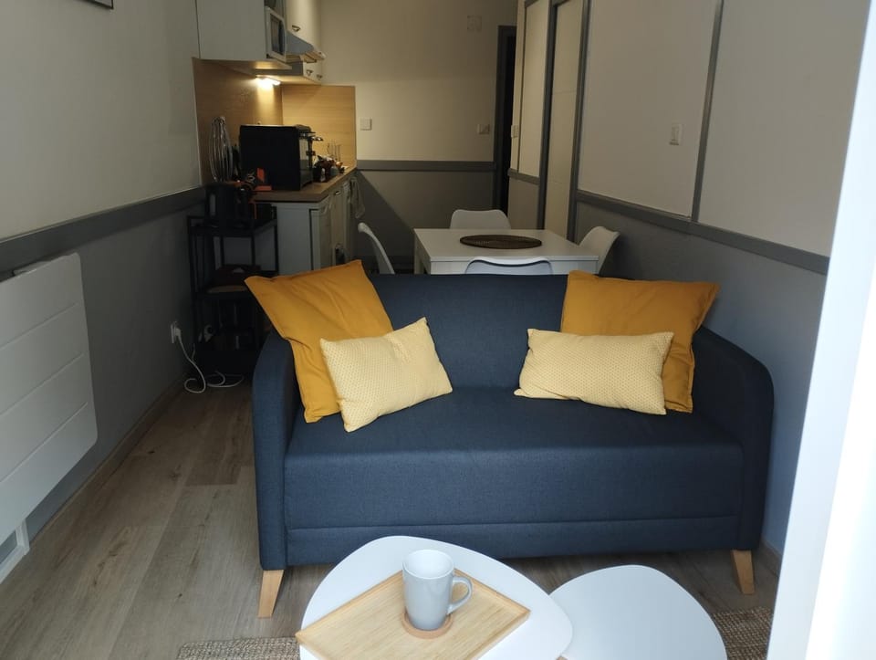 appartement cosy hyper centre de Cauterets Apartment in Cauterets