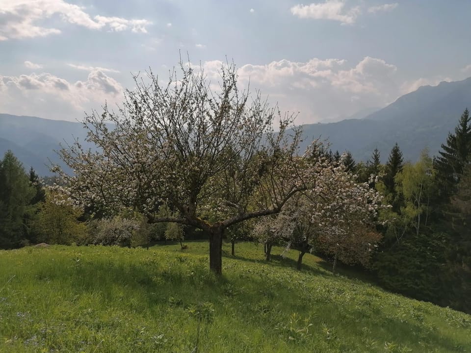 Baita Agaz House in Trentino-South Tyrol