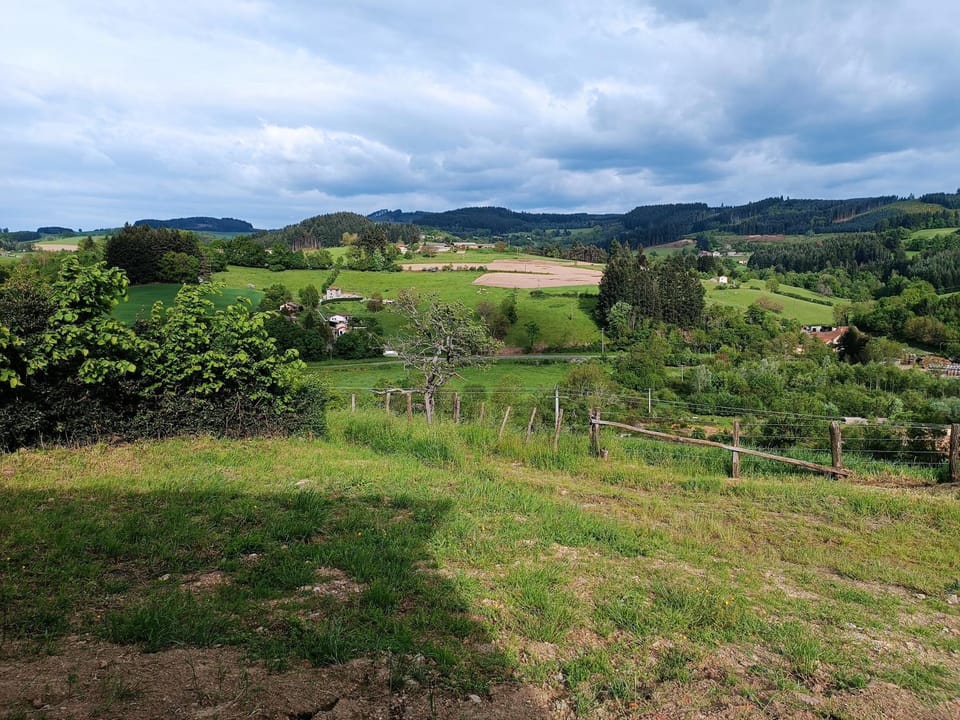 Natural landscape, Garden