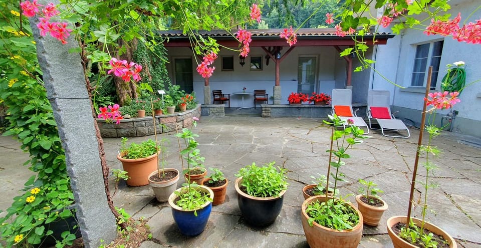 Balcony/Terrace, Balcony/Terrace
