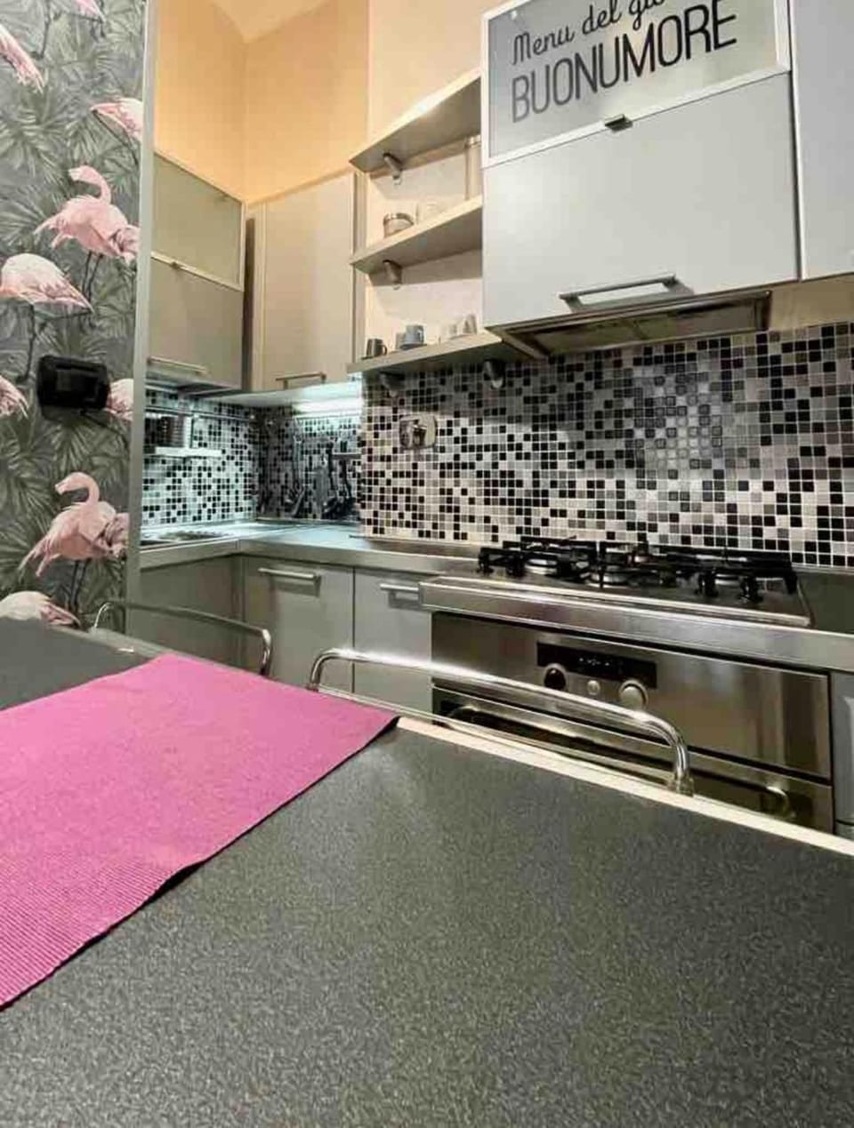 Kitchen or kitchenette, minibar, pet friendly, stove