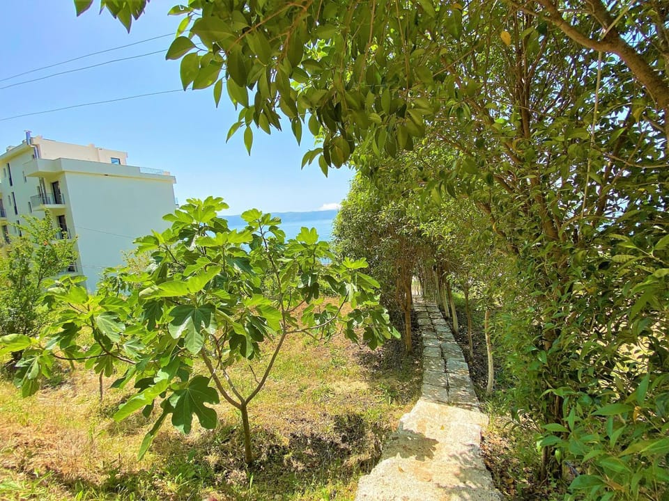 Spring, Day, Natural landscape, Garden, Garden view