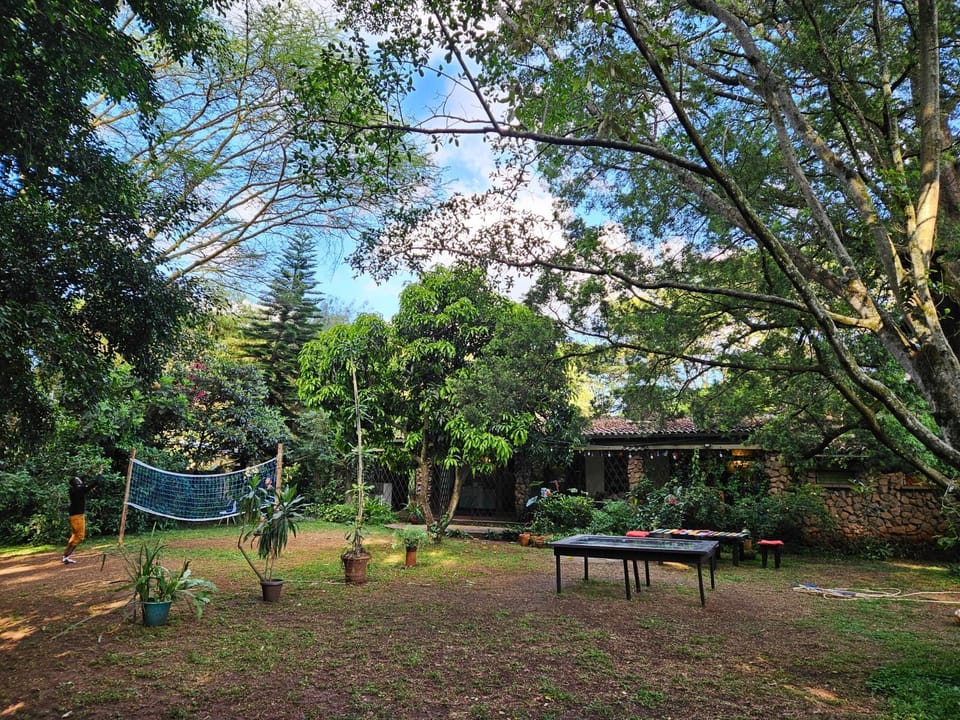 Game Room, Garden
